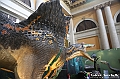 VBS_0968 - Dinosauri. Terra dei giganti